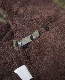 COLIMBO   OBSERVER PARKA AME #2 " NAMELESS PERSONNEL " (DARK OLIVE)