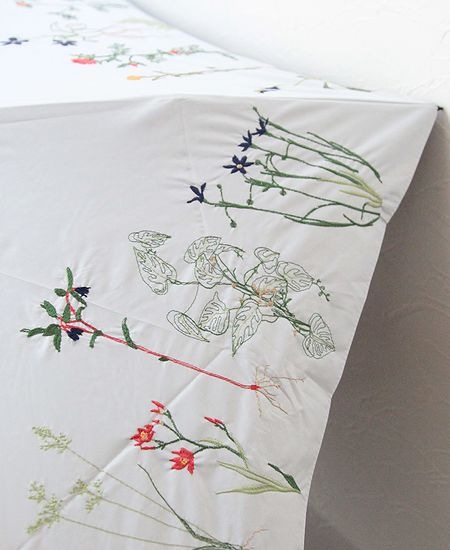 muuc ࡼܥ˥ɽαŷ ޤꤿ߻