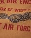 COLIMBO ������ NORWALK TEE SHIRT S/S " AIR FORCE WING EMBLEM " (DESERT OCHRE)
