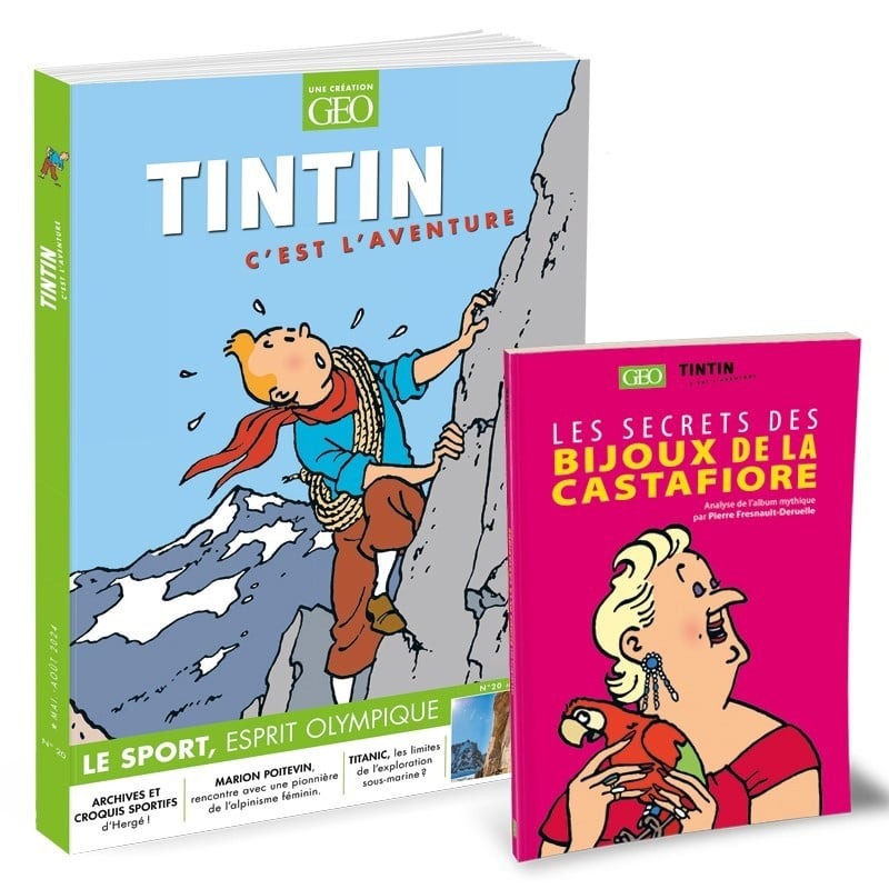 TINTIN C'EST L'AVENTURE N20
