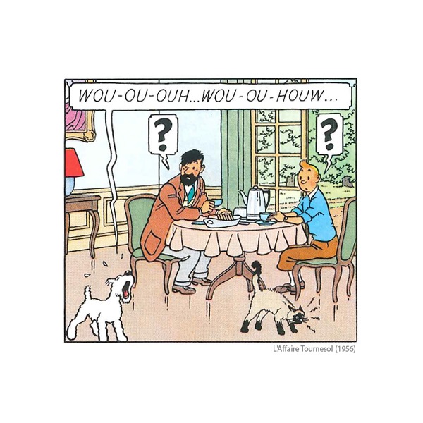 �ޥ��ͥå� / �֥�å��ե�����