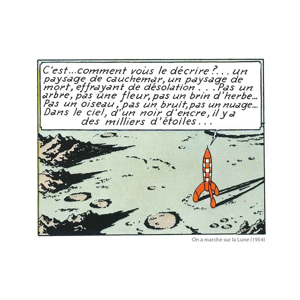 ١åԥ / å / D졼 / XS-XL