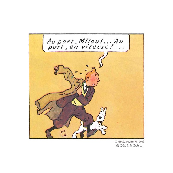 ١åԥ / ݡ / ͥӡ / XS-XL