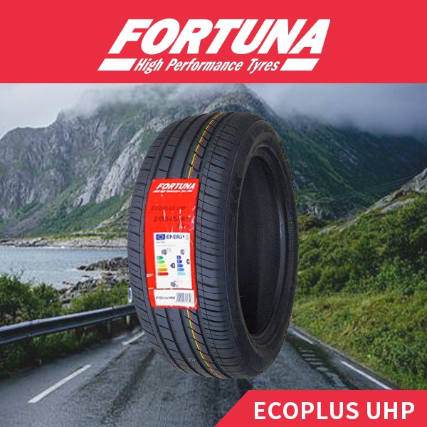 激安 ◇205/55R17 95W 2023年製造 FORTUNA ECOPLUS UHP