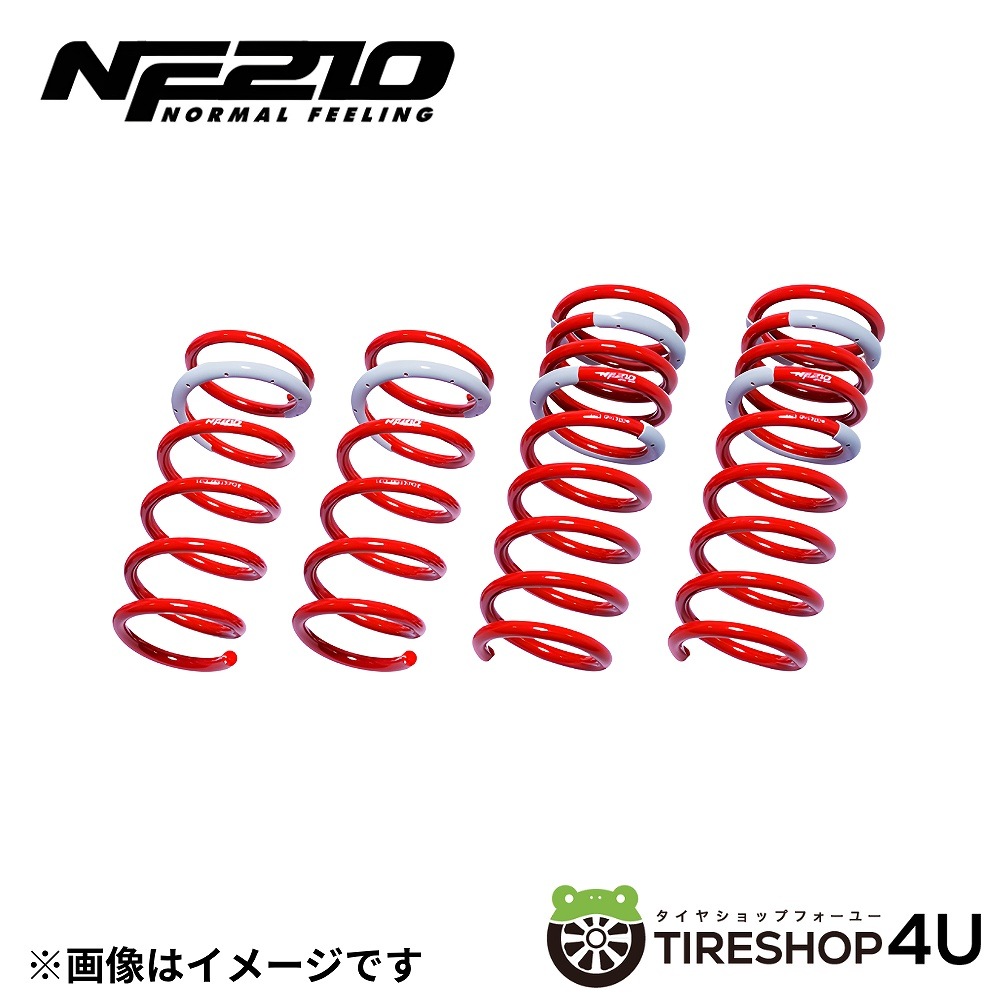 TANABE タナベ カスタムスプリング SUSTEC NF210 サステック ノア