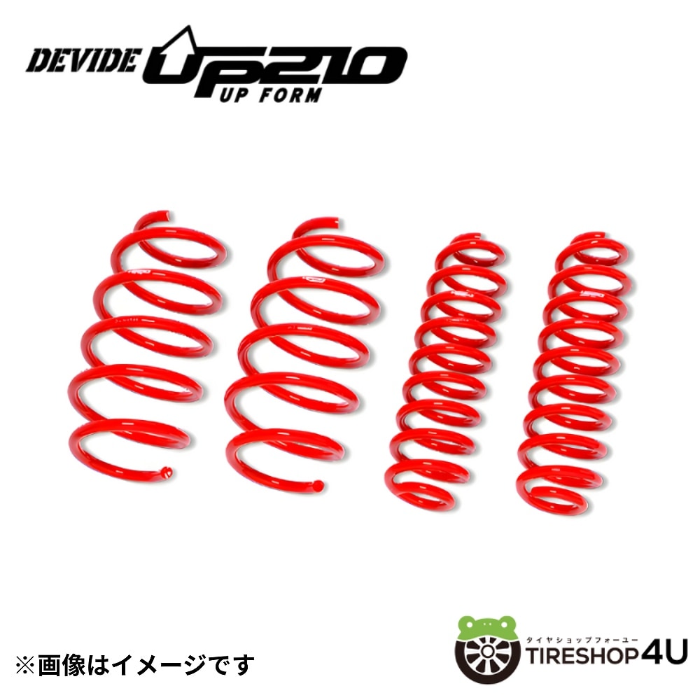 TANABE タナベ カスタムスプリング DEVIDE UP210 ディバイド アップ