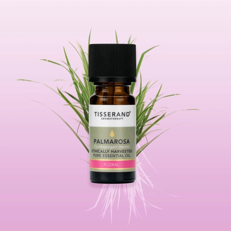 �ѥ�ޥ����� ���� EH 9ml �ԥ奢 ���å��󥷥�륪���� �������꡼ 100% �ʥ�����