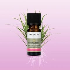 �ѥ�ޥ����� ���� EH 9ml �ԥ奢 ���å��󥷥�륪���� �������꡼ 100% �ʥ�����