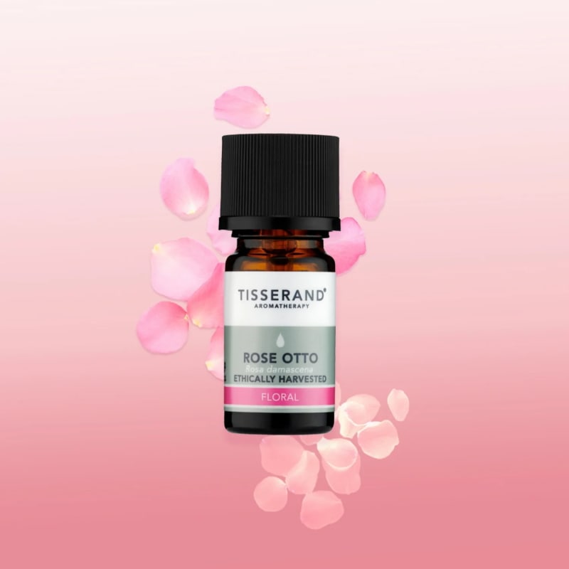 �ƥ������� ������ ���åȡ� ���� EH 2ml �������� 100% �ԥ奢 ���å��󥷥�륪���� �ʥ����� �߸ˤ鷺��