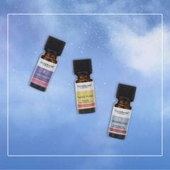 Deep Sleep Essentials �ǥ����ץ��꡼�� ���å��󥷥�륺 ����̲��Τ����ɬ�����å�