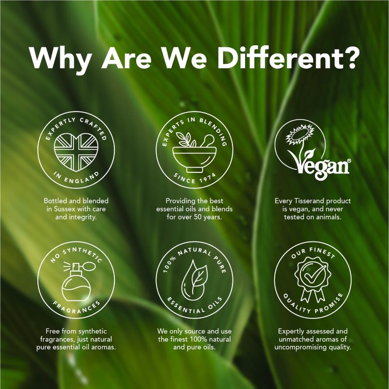 ����ߡ��� �����ޥ� ���� EH 9ml 100% �ʥ�����ԥ奢 ���å��󥷥�륪���� ����ޥ��� ��������