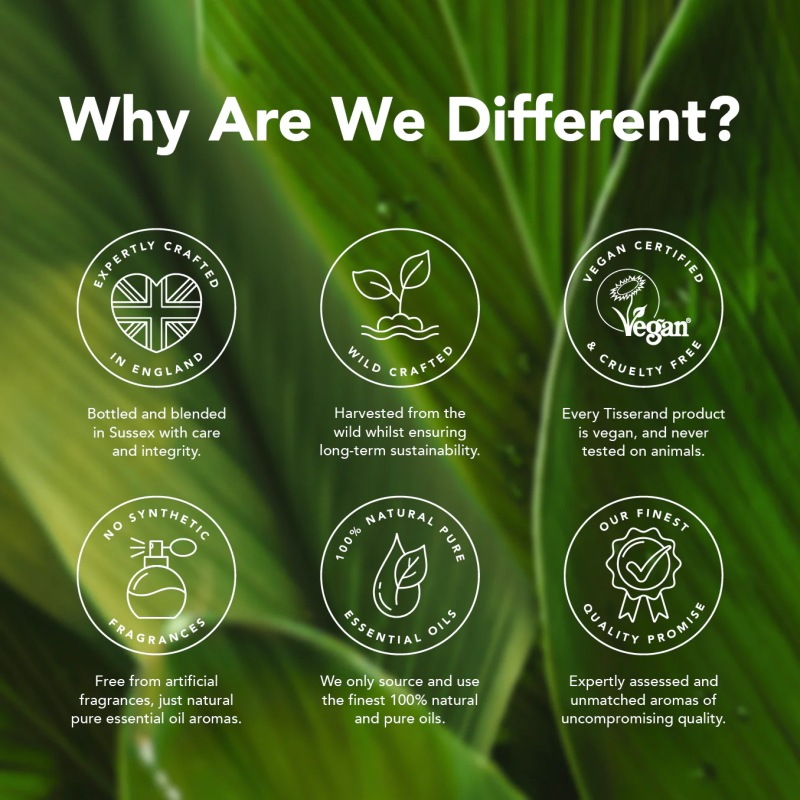 �ե�󥭥󥻥� ���� WC 9ml ���å��󥷥�륪���� �ԥ奢 �磻��ɥ���ե� ������  ������ ���ޥꥢ�� ����Хʥ� �ܥ������ꥢ �˥奦���������� 100%