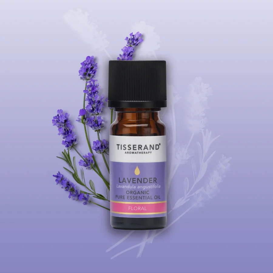 Deep Sleep Essentials �ǥ����ץ��꡼�� ���å��󥷥�륺 ����̲��Τ����ɬ�����å�