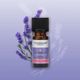 Deep Sleep Essentials �ǥ����ץ��꡼�� ���å��󥷥�륺 ����̲��Τ����ɬ�����å�