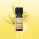 Deep Sleep Essentials �ǥ����ץ��꡼�� ���å��󥷥�륺 ����̲��Τ����ɬ�����å�