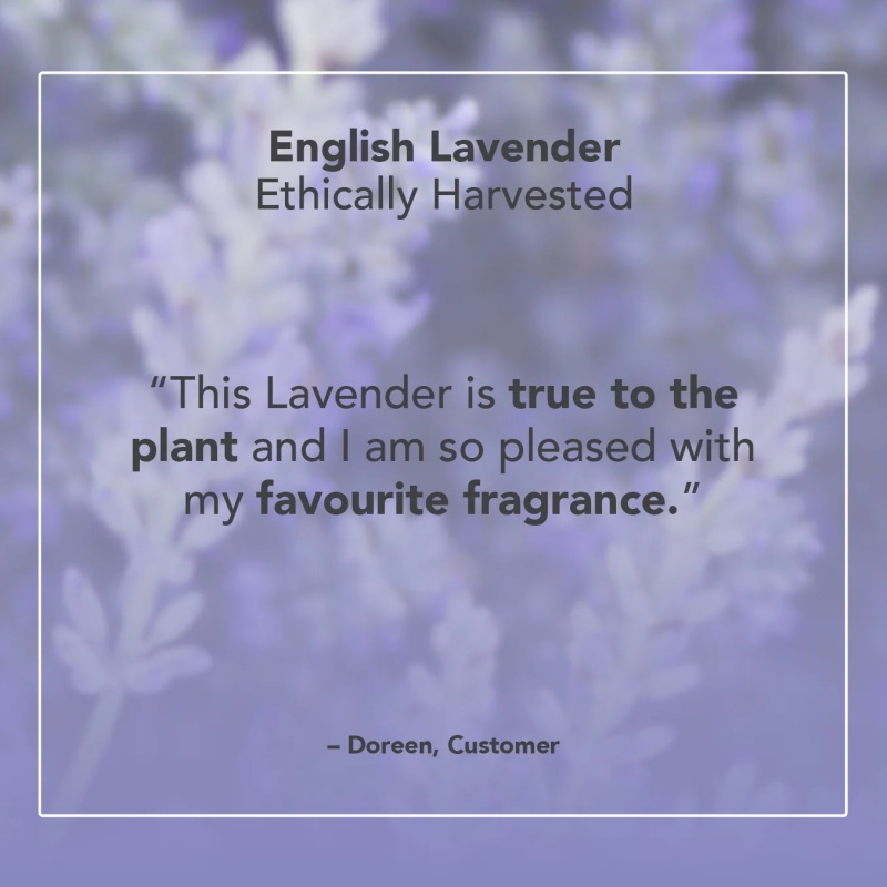 ���󥰥�å����٥���� ���� 9ml 100% �ʥ����� �ԥ奢���å��󥷥�륪���� 