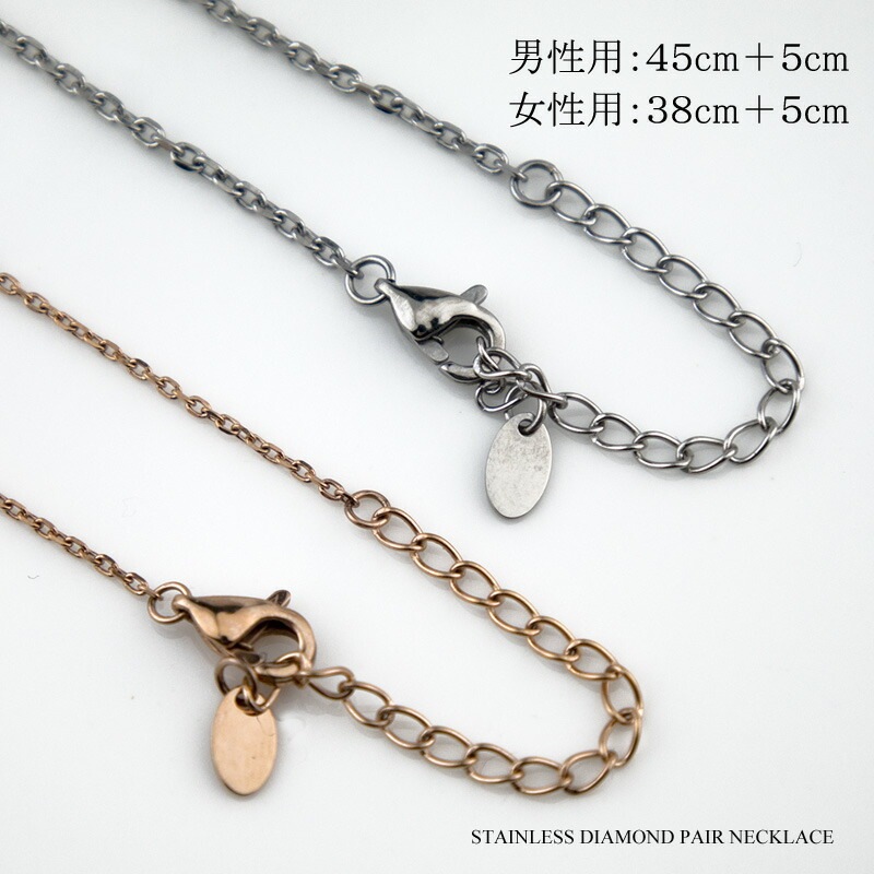 ڥͥå쥹 ƥ쥹 ڥڥ   ƥ쥹 (316L) Ҥͤ ĥ ̵ ե °륮ˤ⶯ ץ쥼 ĤäѤʤ ץ  ֥ ˽ڥå