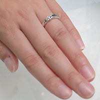 �������� ���塼�ӥå����륳�˥�(�ۥ磻��) ��°����륮�� �¿�