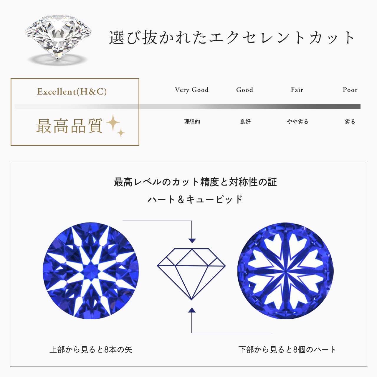 ������ �ڥ���� �뺧���� �ޥ�å���� ������ ���̻ž夲  ����������դ����ʤ� �ڥ� �ץ���ʥ�����ץ졼�ƥ��󥰲ù����� ��°����륮���б� ����륮���ե꡼ �¤�