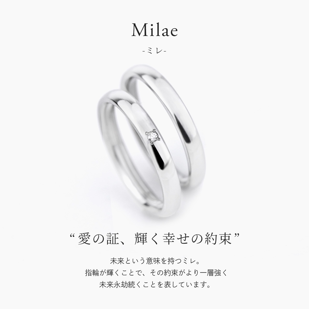 ������ �ڥ���� �뺧���� �ޥ�å���� ������ ���̻ž夲  ����������դ����ʤ� �ڥ� �ץ���ʥ�����ץ졼�ƥ��󥰲ù����� ��°����륮���б� ����륮���ե꡼ �¤�