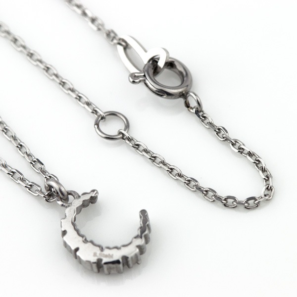 �ͥå��쥹 ���������� ���ƥ�쥹 ��������(316L) ���塼�ӥå����륳�˥� ������ �ࡼ�� ��ǥ����� �ͥå��쥹 ���ƥ�쥹���������꡼ �ڥ����� ���奨�꡼ ���� ���ե� � ��°����륮���ˤ⶯�� �ͥå��쥹 �ץ쥼��� £��ʪ