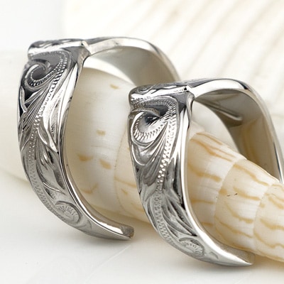 �ϥ磻���󥸥奨�꡼ �ڥ���� ���������륹�ƥ�쥹 (316L) ���������� �� Nalu �ʥ� ��� ���ƥ�쥹 � �ڥ� ���� JBC ��°����륮���ˤ⶯�� �ץ쥼��� £��ʪ