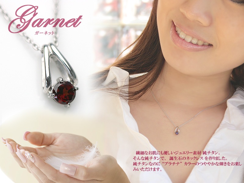 TITAN ͥå(1) ͥå쥹̵ ǥͥå쥹  ץ쥼 ͥå쥹 °륮 ¿