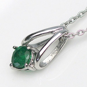 TITAN (5) ͥå쥹̵ ǥ  ץ쥼 °륮 ¿