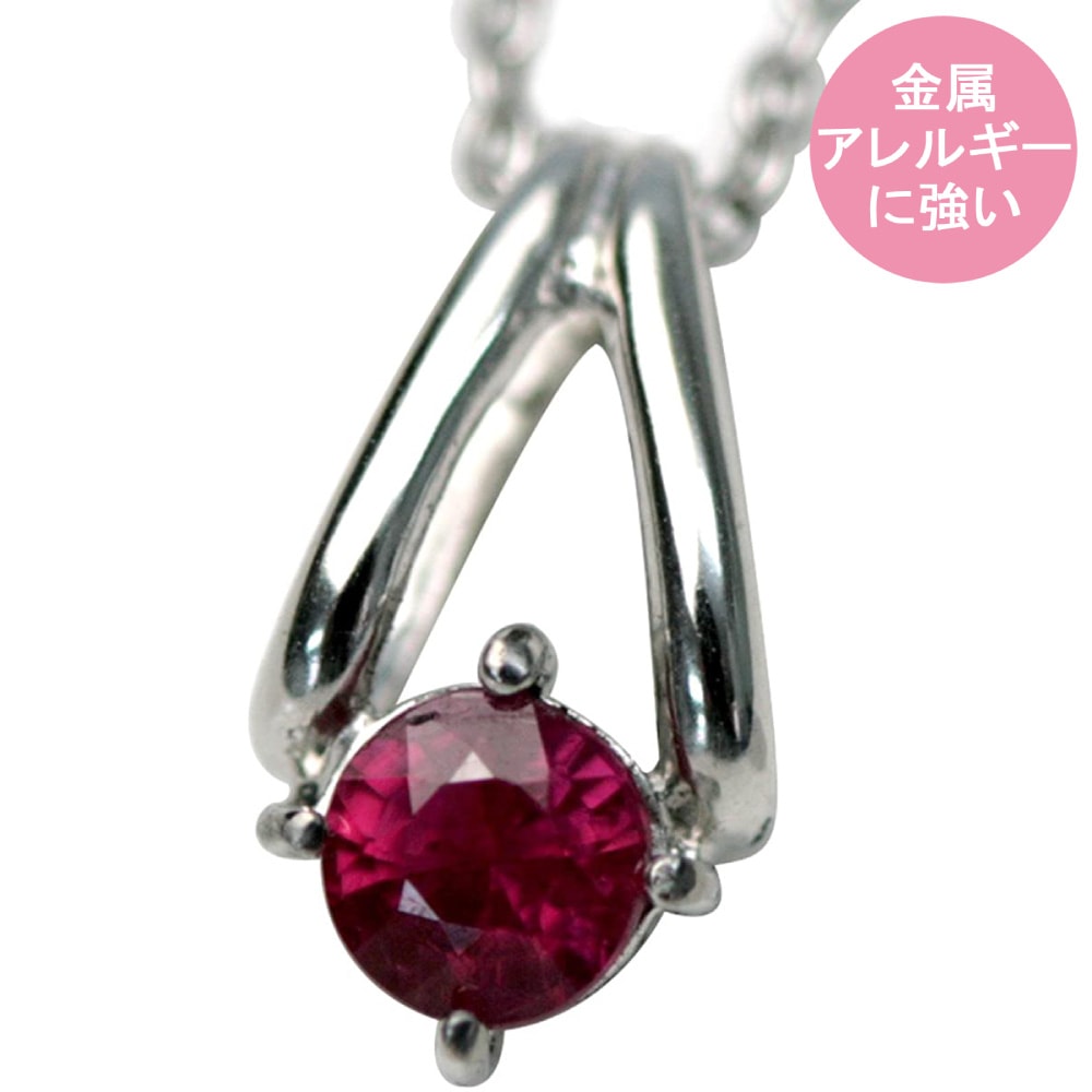 TITAN ӡ(7) ͥå쥹̵ ǥͥå쥹  ץ쥼 ͥå쥹 °륮 ¿