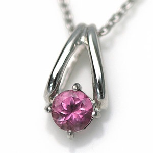 ԥ󥯥ȥޥ ͥå쥹 (10) ͥå쥹̵ ǥͥå쥹  ץ쥼 ͥå쥹 °륮 ¿