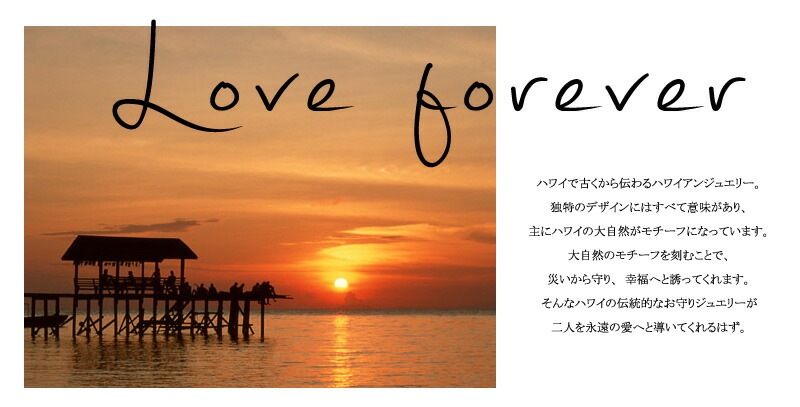 ϥ磻󥸥奨꡼ ڥͥå쥹 ڥڥ 륹ƥ쥹 (316L) ۥơʥ  奨꡼ ե ڥ °륮ˤ⶯ ץ쥼 £ʪ ץ  ˽ڥå