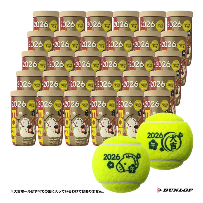 ͽۥå DUNLOP ƥ˥ܡ DUNLOP FORTʥåסեȡˡִ١ץܡ 2026ǯ  2 1Ȣ30/60 DFF26ETOYL2CS60