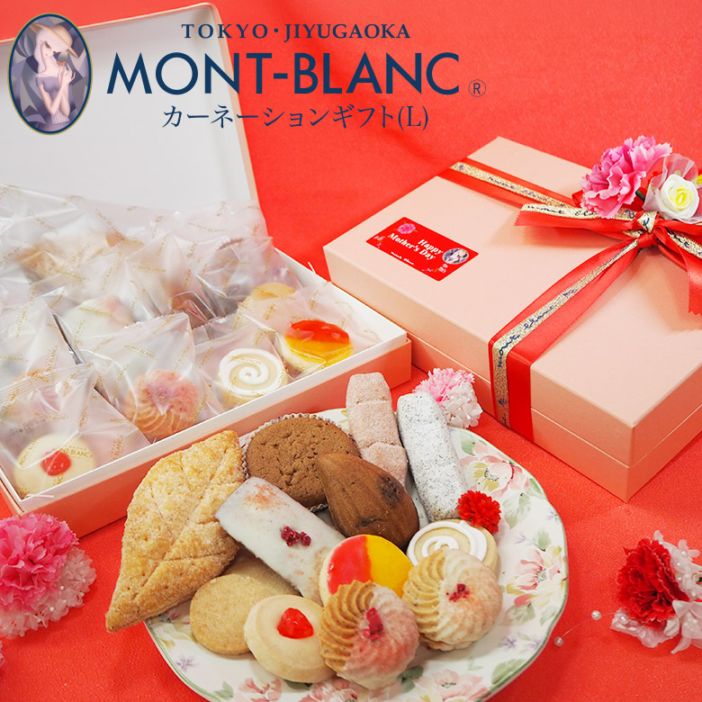 母の日ギフト カーネーションギフト(L)