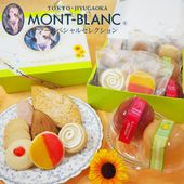 夏ギフト サマースペシャルセレクション