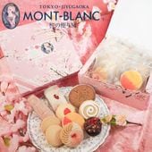 春ギフト 桜の便りM