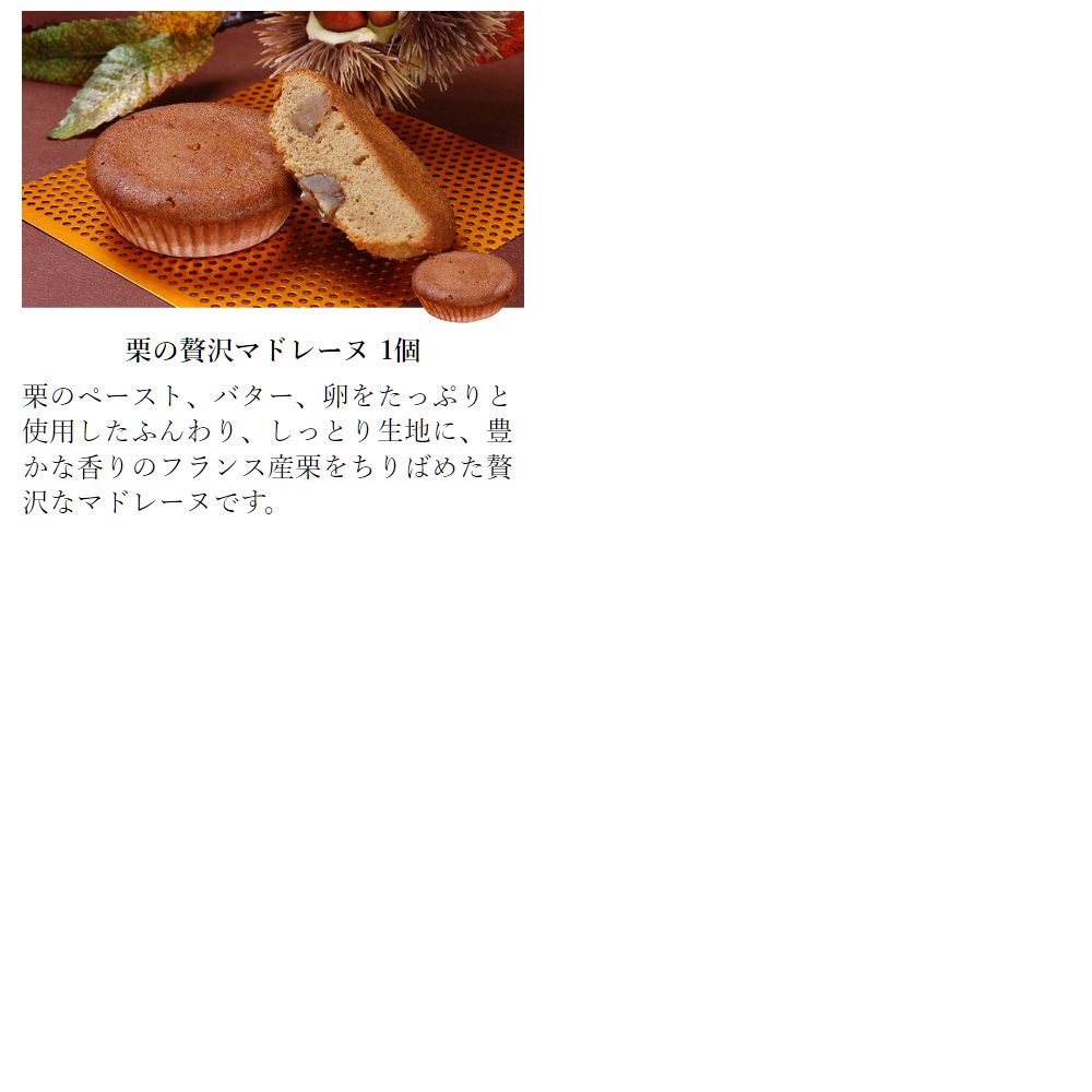 春ギフト 桜の便りM