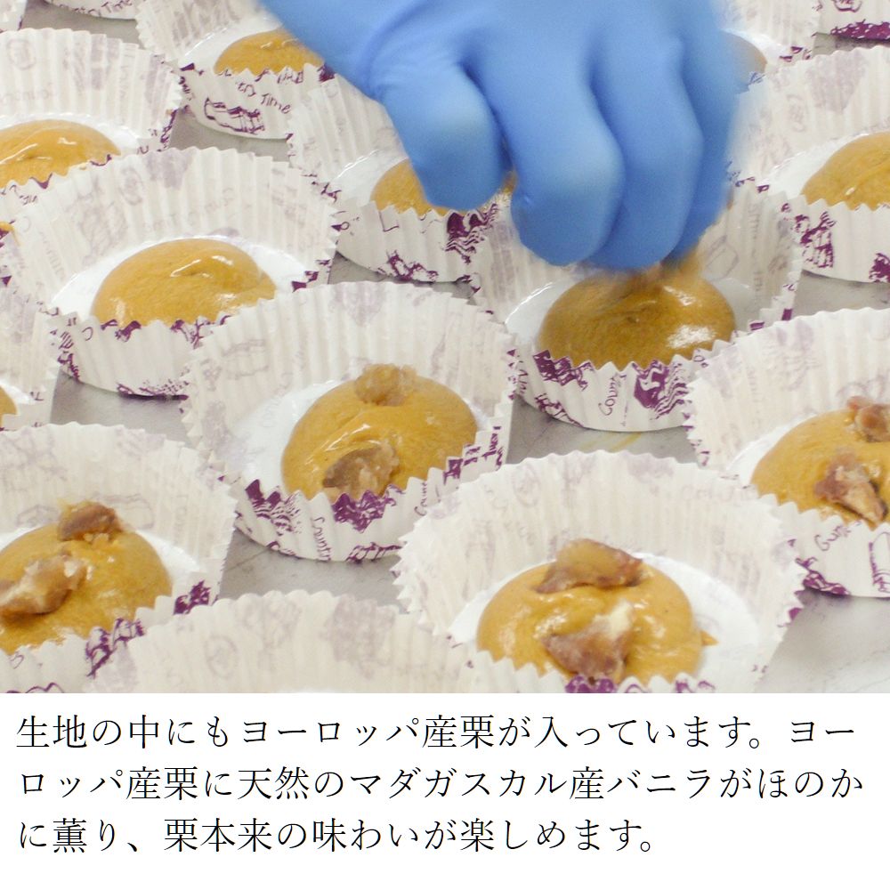 フランス産栗の贅沢マドレーヌ 10個入