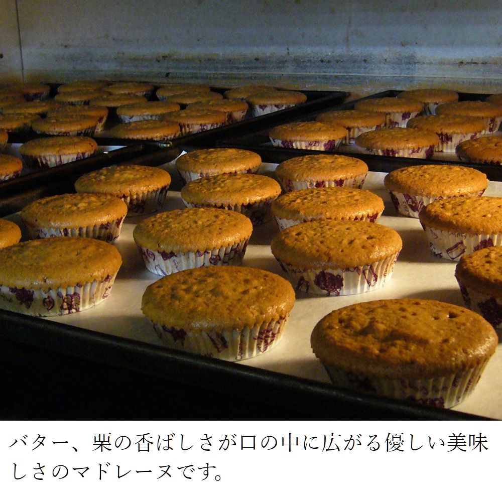 フランス産栗の贅沢マドレーヌ 10個入