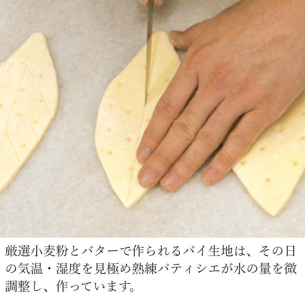 自由が丘リーフパイ 5枚入