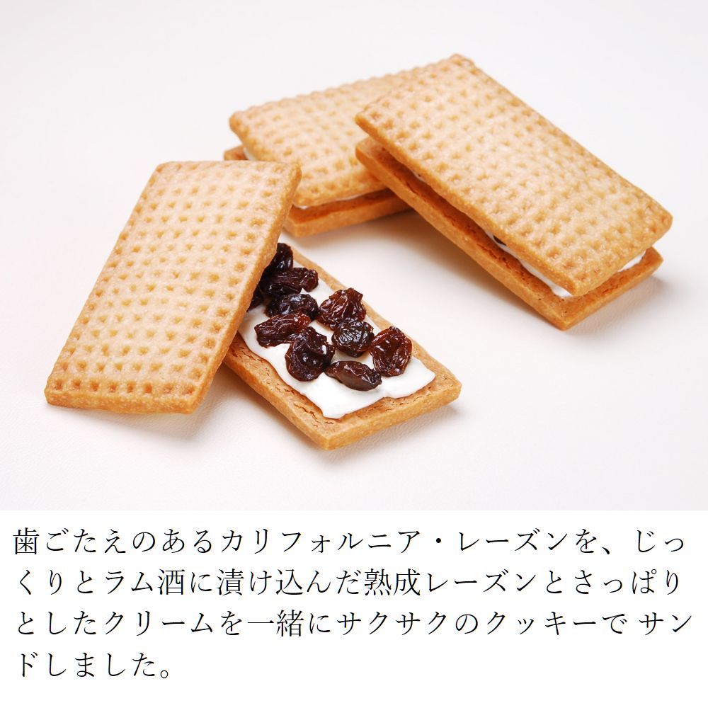 レーズンサンド 6個入