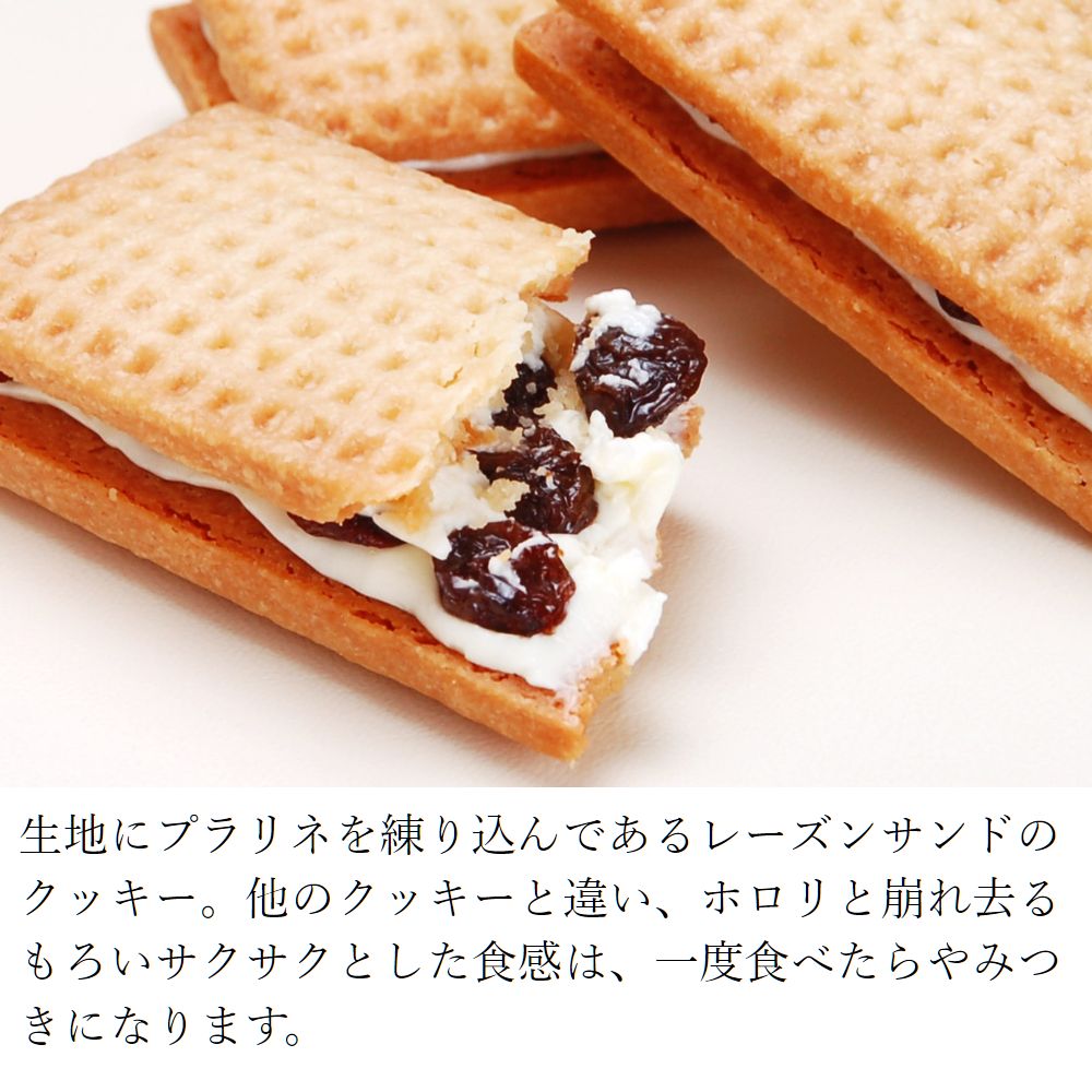 レーズンサンド 6個入