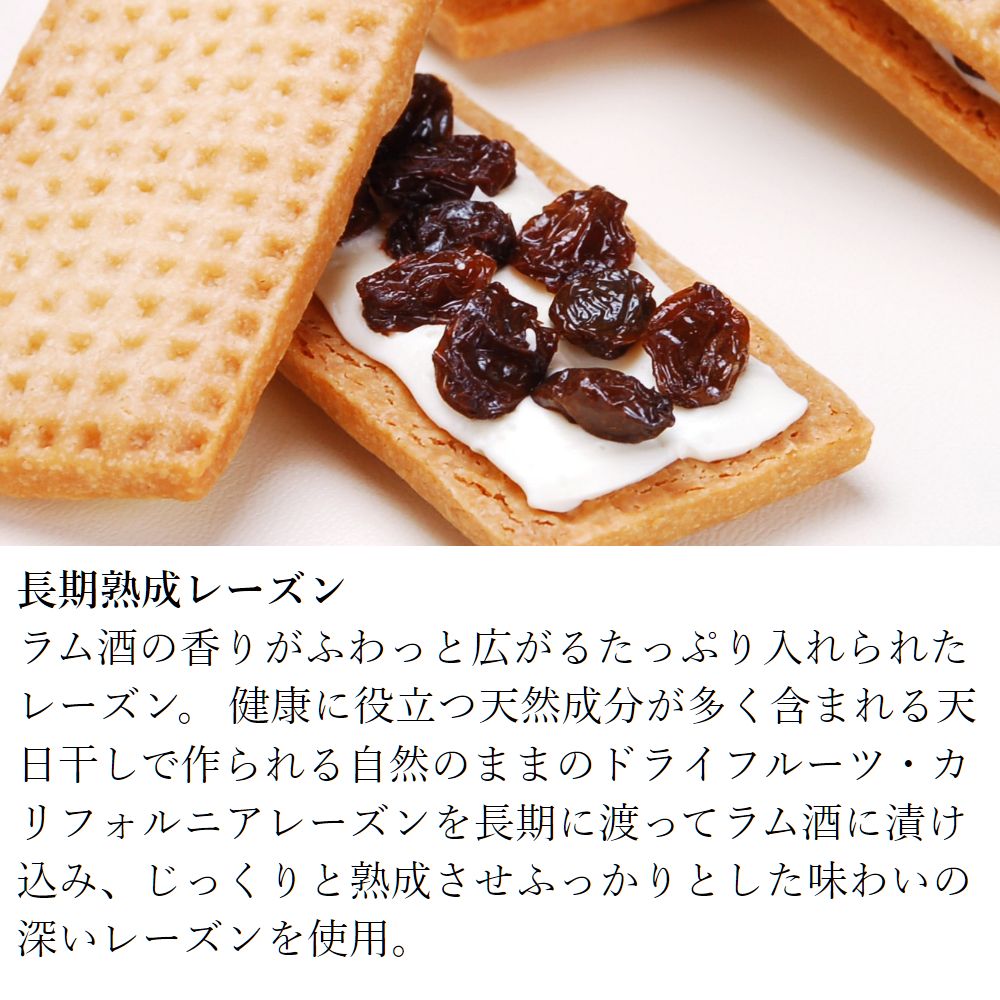 レーズンサンド 6個入