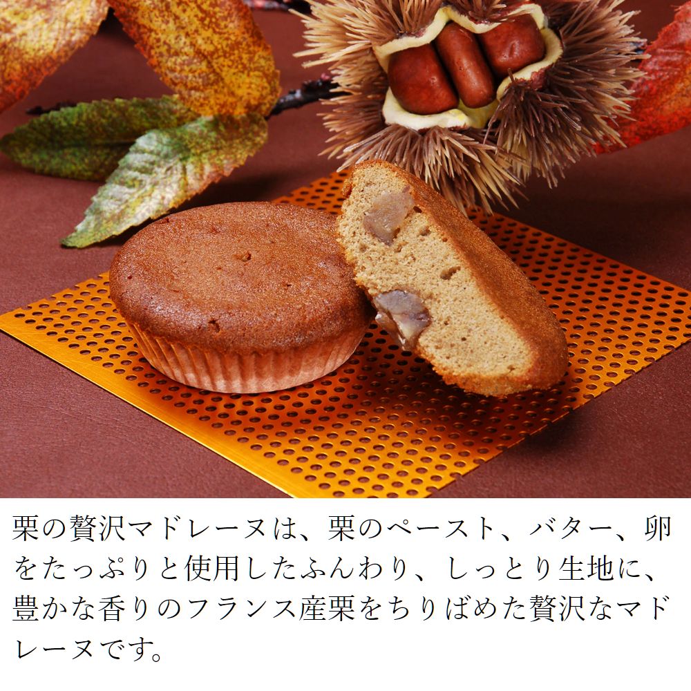 ギフトセット ルミナス