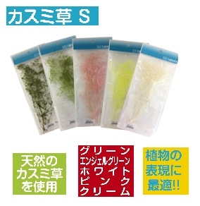 かすみ草 S 【グリーン・エンジェルグリーン・ピンク・クリーム・ホワイト】高さ約20ｃｍ