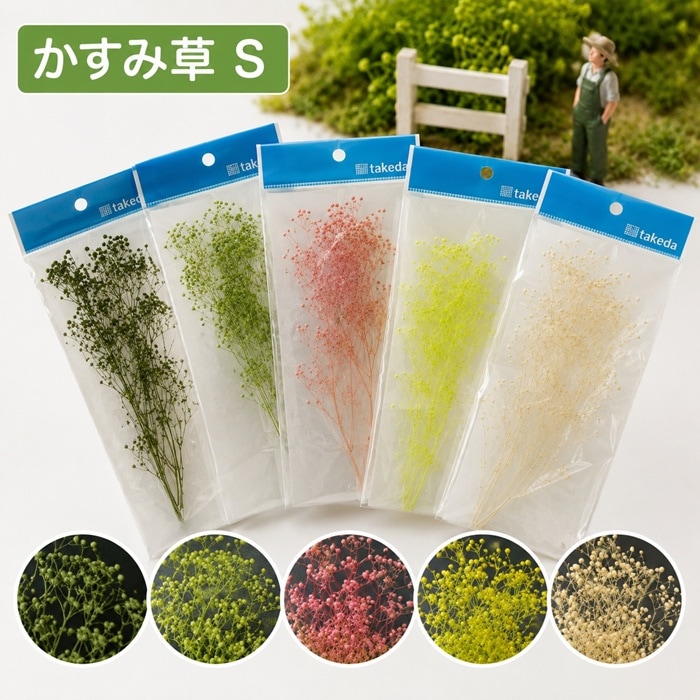 かすみ草ページ かすみ草 S 【グリーン・エンジェルグリーン・ピンク・クリーム