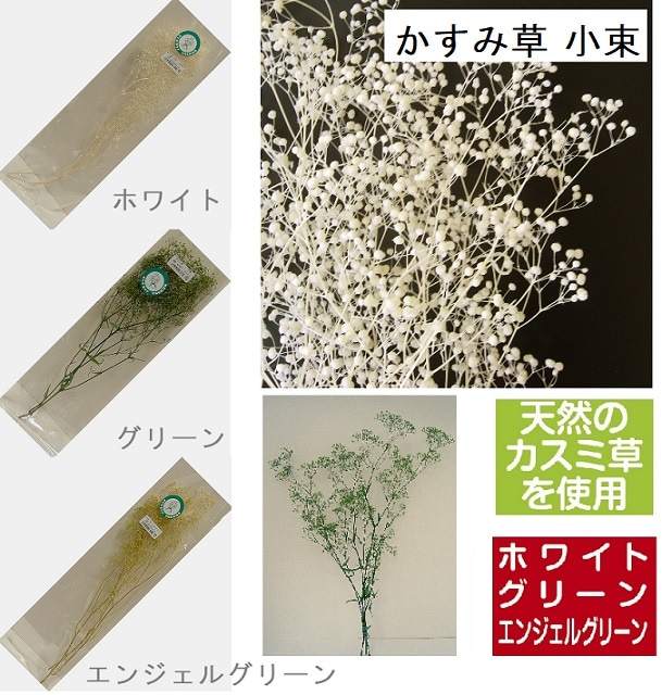 かすみ草 小束 【ホワイト・グリーン・エンジェルグリーン】 高さ約30ｃｍ