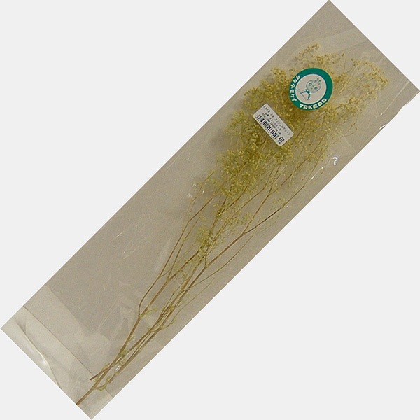 かすみ草 小束 【ホワイト・グリーン・エンジェルグリーン】 高さ約30ｃｍ