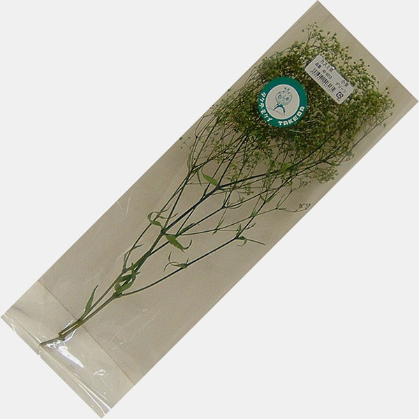 かすみ草 小束 【ホワイト・グリーン・エンジェルグリーン】 高さ約30ｃｍ