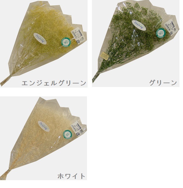 かすみ草 大束 【ホワイト・グリーン・エンジェルグリーン】 高さ約30ｃｍ