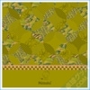 ڸʡݸ